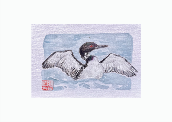 Loon dans l'eau – Tirage A6 – Image 2