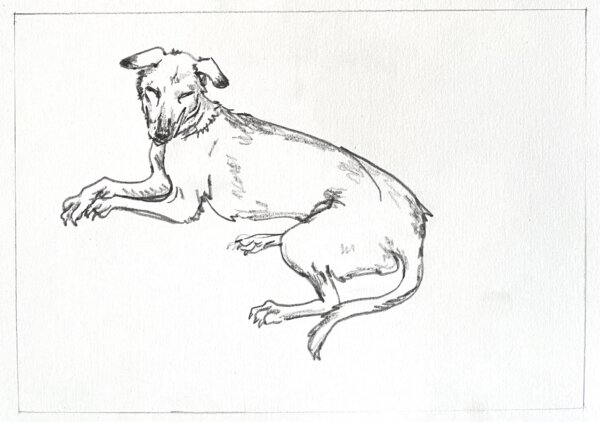 Your sketched Portrait – Image 3