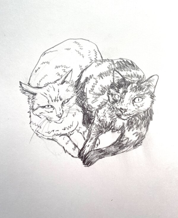 Your sketched Portrait – Image 4