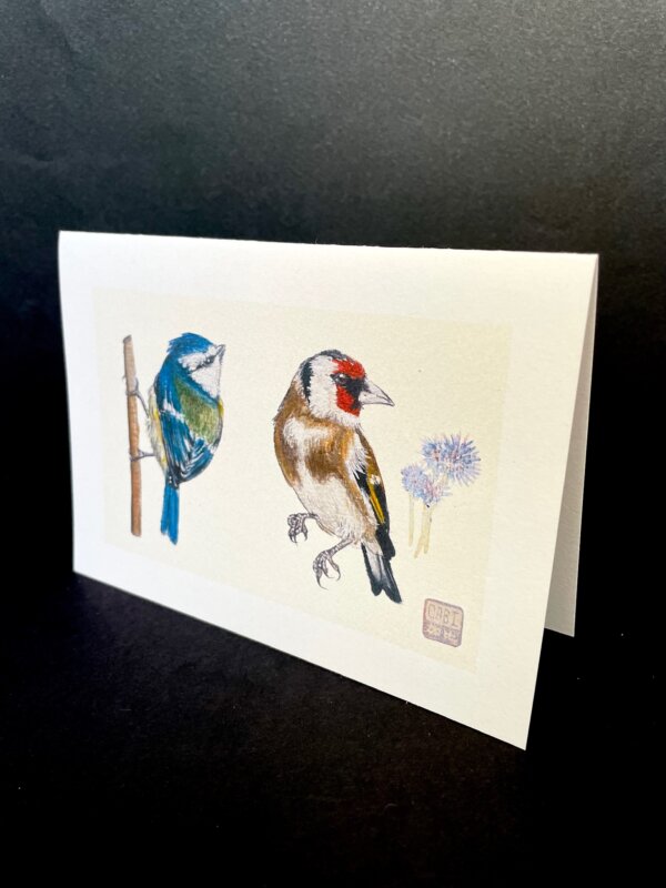 Carte de Vœux Mésange bleue et Chardonneret – Image 5