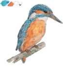Gabi Calaca Logo png sans tampon